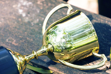 Wall Mural - closeup trophy on wood table