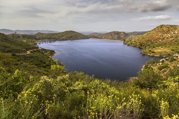 Naklejka na meble Lake Poway scenic landscape view with abundance of spring wildflowers in San Diego County North Inland