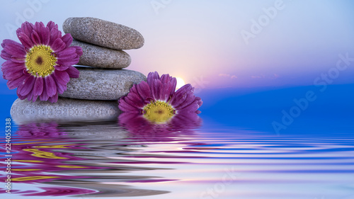 piedras y flores en el agua