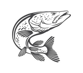 Wall Mural - pike fish