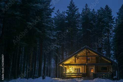 Fotografía A lonely house in a pine forest in winter