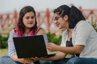 © Peruphotoart - Portrait of peruvian pretty smiley face fat woman working laptop on a park.