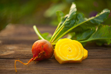 ripe fresh yellow beet on garden bed