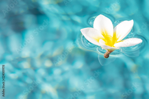 Flower of plumeria floating in the turquoise water surface. Water fluctuations copy-space. Spa concept background © everigenia