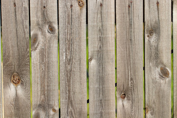 background of old wooden boards