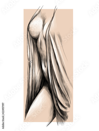 Female Body With A Robe And A Half Open Robe Visible Chest And Abdomen Part Of The Body Without Head And Without Legs Sketch Vector Graphics Monochrome Illustration On A Beige Background