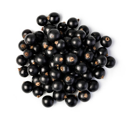 Wall Mural - Black currant