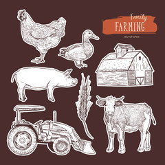 Wall Mural - Farm set. Hand drawn illustration vector.