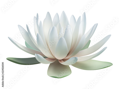 Cuadros en Lienzo Lotus flower isolated on white. Vector illustration