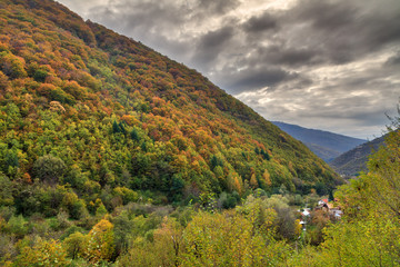 Wall Mural - Beautiful landscape view of the mountains of the Rila national park in Bulgaria with vibrant autumn colors in the forest