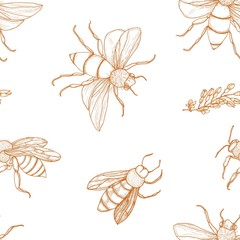 Poster - Elegant seamless pattern with honey bees hand drawn with contour lines on white background. Apiculture or beekeeping backdrop. Monochrome vector illustration in antique engraving style for wallpaper.