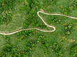 Aerial drone photo of beautiful plants in Kure Mountains National Park, Kastamonu Turkey