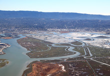 San Francisco Bay Area: Salt Marshes And Wetlands In The South-western Bay Area
