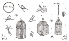 Vector Illustration. Chalk Style Vector Set. Birds And Cages.