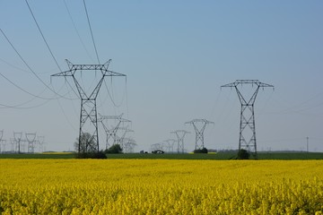 Poster - Electricity pylons in farmland, France. 