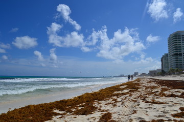 Canvas Print - Cancun 8