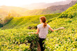© Wavy concept - Caucasian girl in a tea plantation during the sunset
