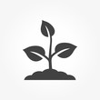 Plant vector icon