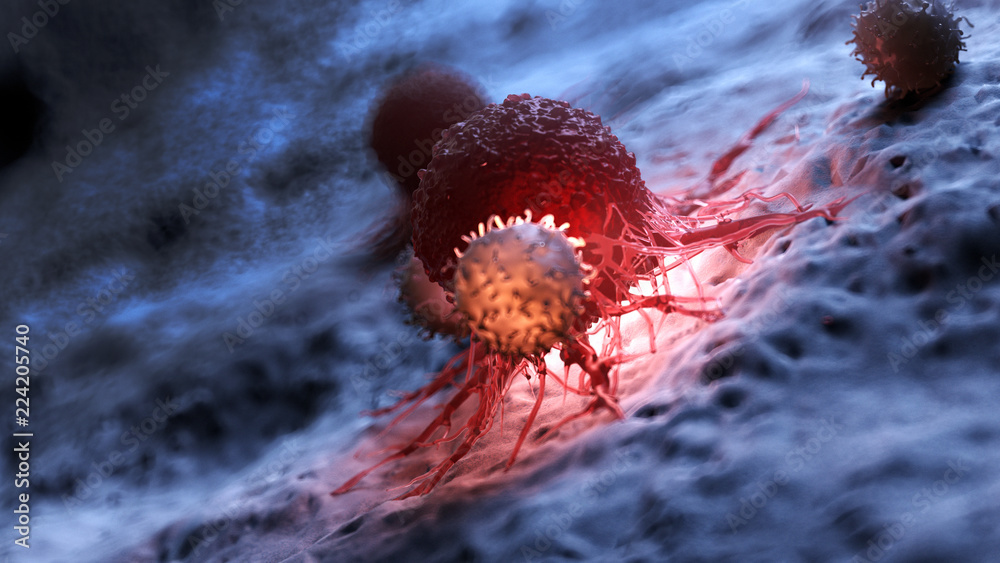 3d rendered medically accurate illustration of white blood cells attacking a cancer cell - obrazy, fototapety, plakaty 