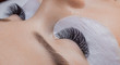 © Parilov - Woman with long eyelashes in beauty salon. Lashes extension procedure close up.