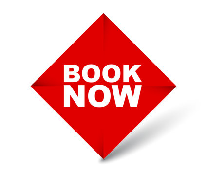 red vector banner book now