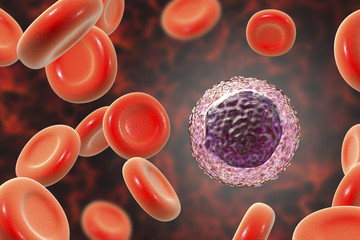 Sticker - Lymphocyte surrounded by red blood cells, 3D illustration