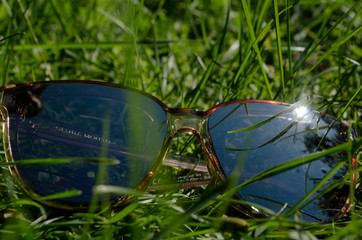 glass of water on green grass