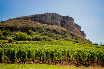 Wall Mural - La Roche de Vergisson en Bourgogne