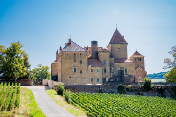 Canvas Print - Le Châtreau de Pierreclos en Bourgogne