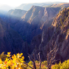 Wall Mural - Early dawn light hits the upper cliff walls and bright autumn foliage at Black Canyon of the Gunnison National Park in Colorado