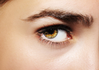 A beautiful insightful look woman's eye. Close up shot.