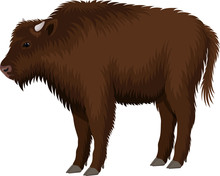 Vector Kid Child Brown Zubr Buffalo Bison