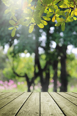 Wall Mural - Wooden table and blurred green garden background.