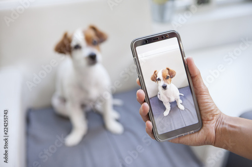 Fotografía woman taking a picture of her dog with the phone