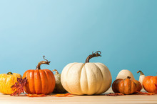 Collection Of Autumn Pumpkins On A Blue Background