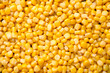 Ripe corn kernels as background, top view