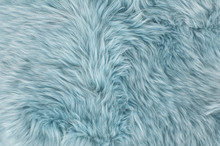 Natural Sheepskin Rug Background Blue Sheep Fur