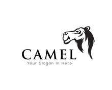 Head Camel Logo Art
