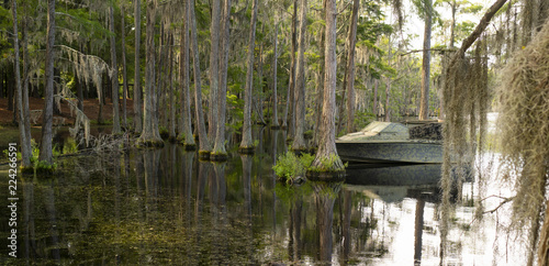 Fotografie, Obraz A Georgia State Swamp Lake has Abundant Cypress Trees Deep South