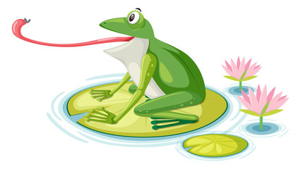 Wall Mural - a frog eating fly on lily pad