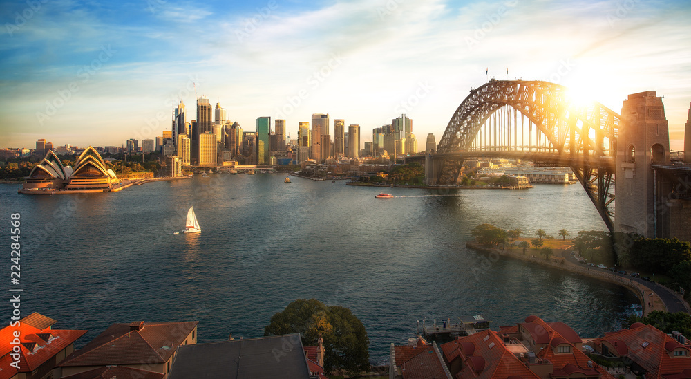 Sydney harbour and bridge in Sydney city - obrazy, fototapety, plakaty 