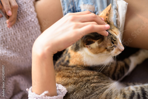 Foto Cute Calico Cat Being Petted By Young Woman