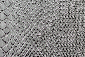 close up of exotic Snakeskin pattern