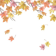 Wall Mural - Autumn background with maple leaves