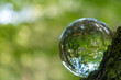 cristal ball reflection