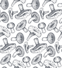 Vector Seamless Pattern With Hand Drawn Forest Mushrooms.