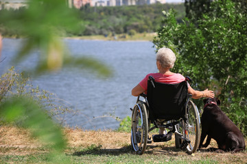 Poster - Senior woman in wheelchair and her dog near river