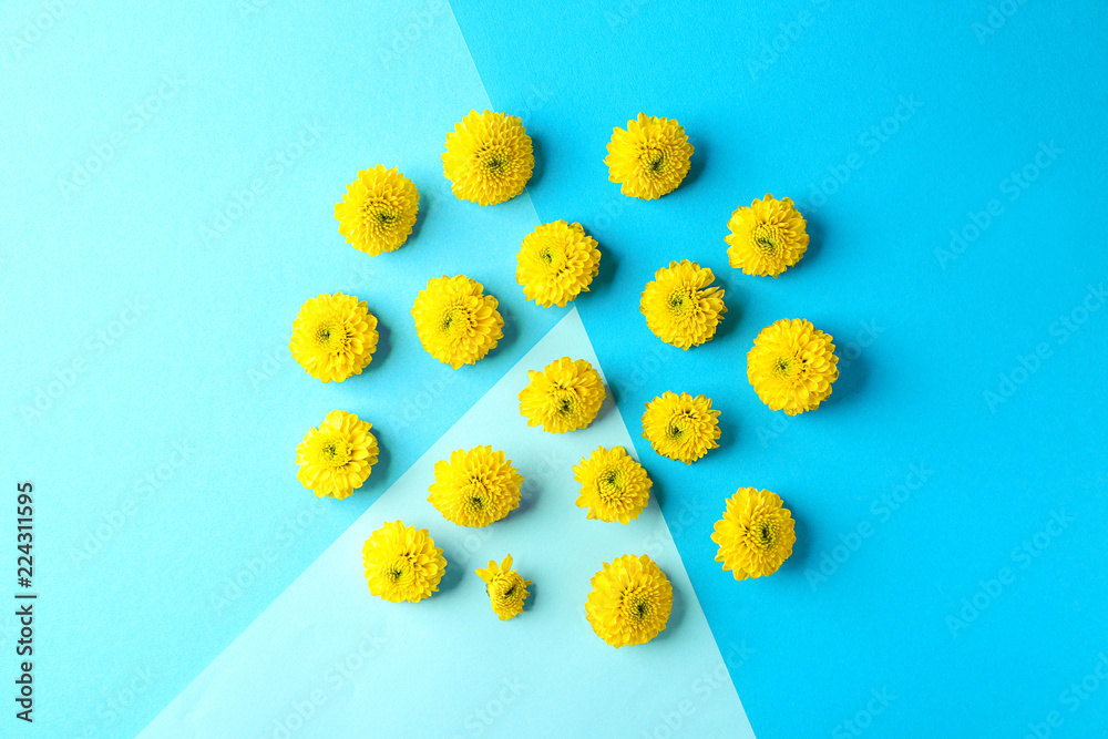 Beautiful blooming flowers on color background