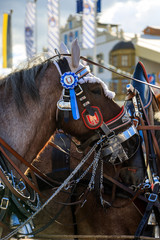 Wall Mural - Pferde auf dem Oktoberfest 2018 in München