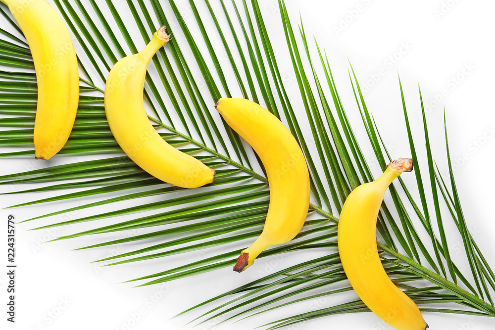 Tropical palm leaf and bananas on white background